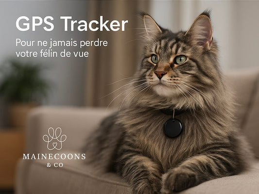 GPS TRACKER POUR CHATS