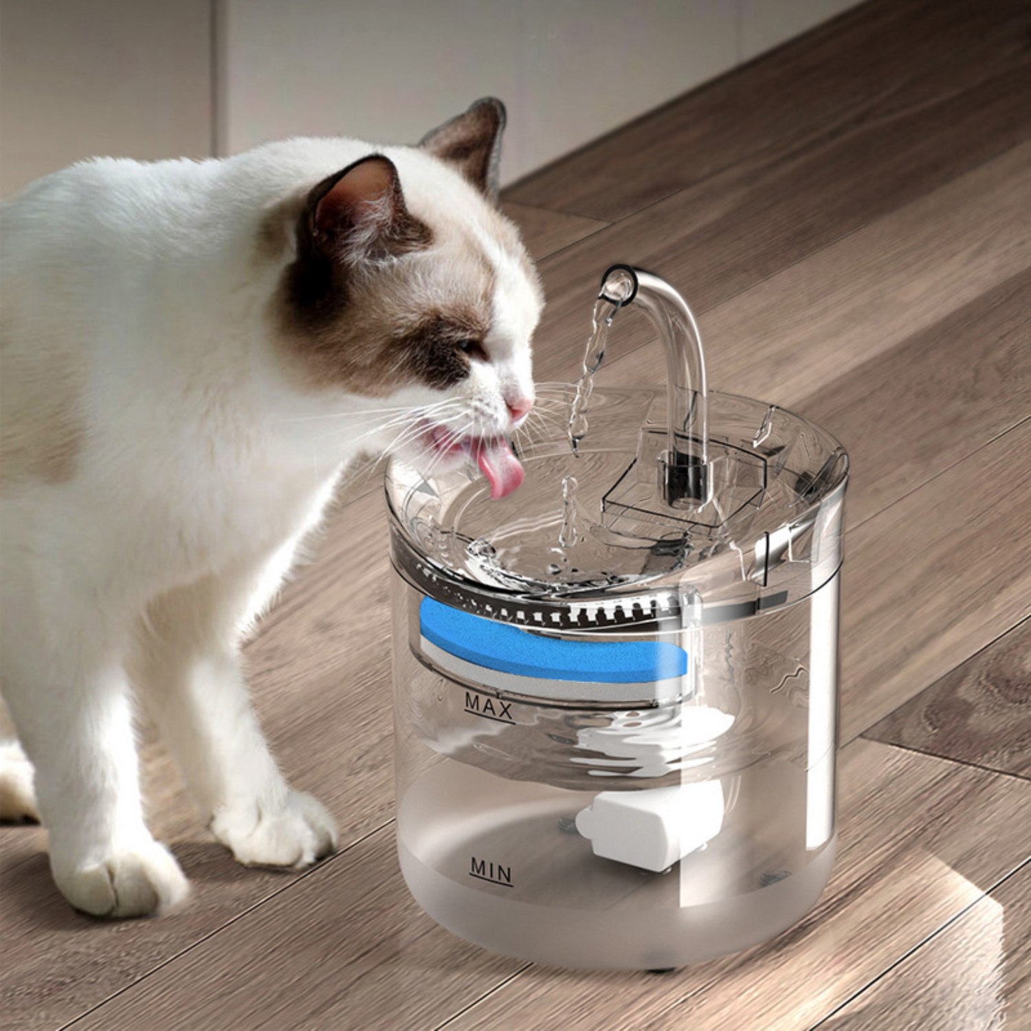 Fontaine à Eau automatique MaineCoons & Co™