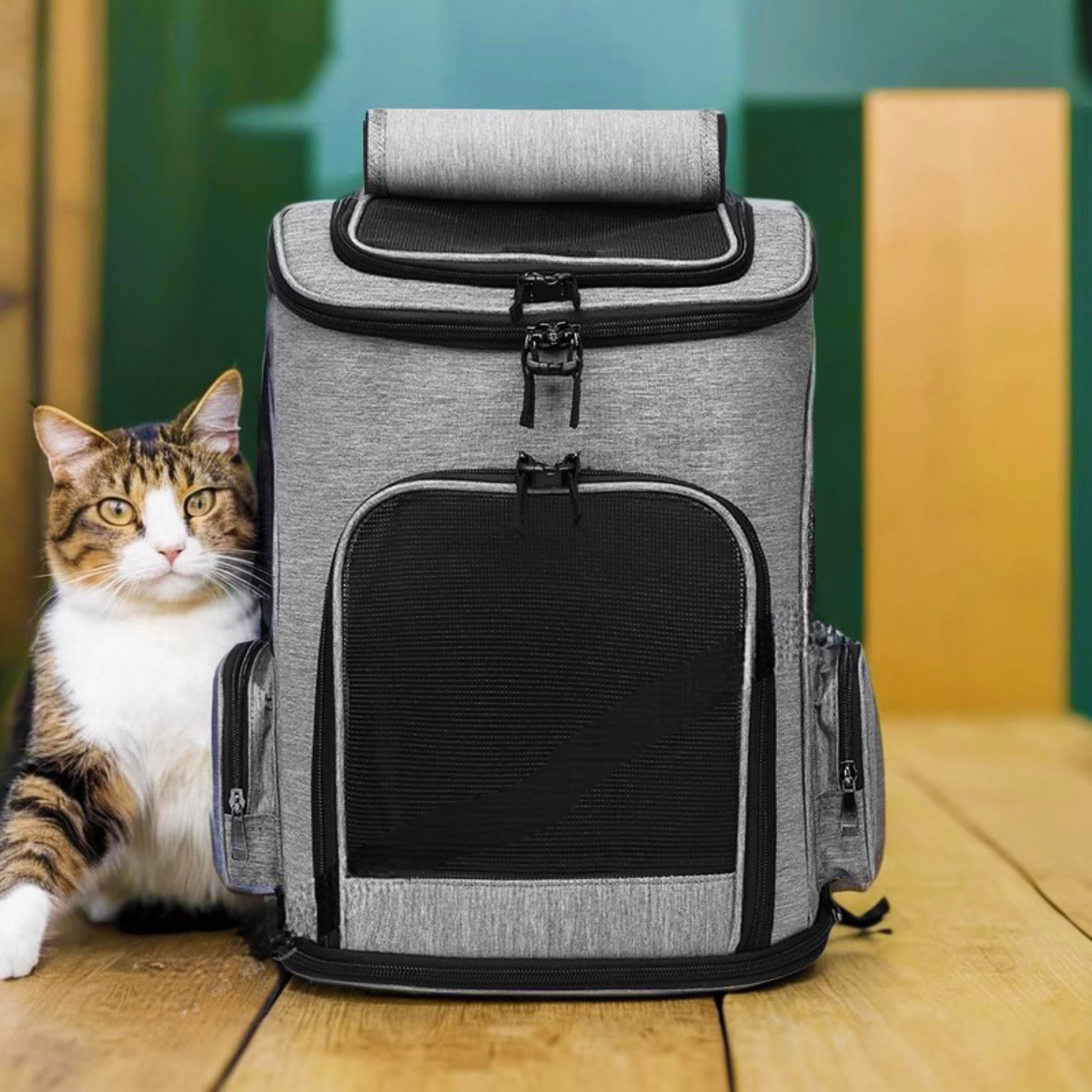 Sac à Dos de Transport MaineCoons Co™ - Main Image