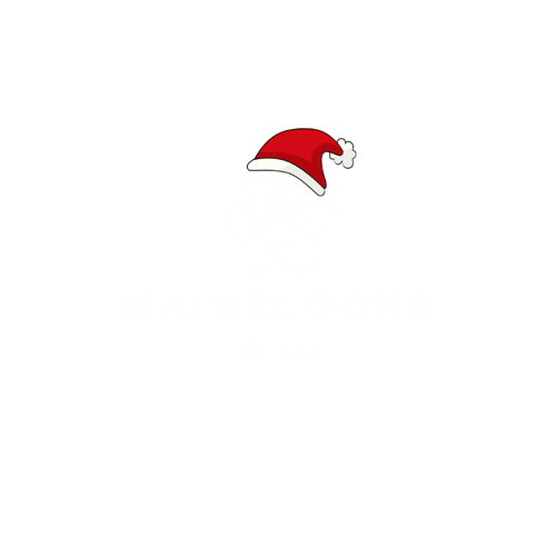 MaineCoons&Co