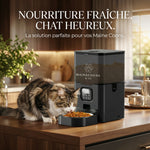Distributeur de repas pour chat automatique Wifi intégré